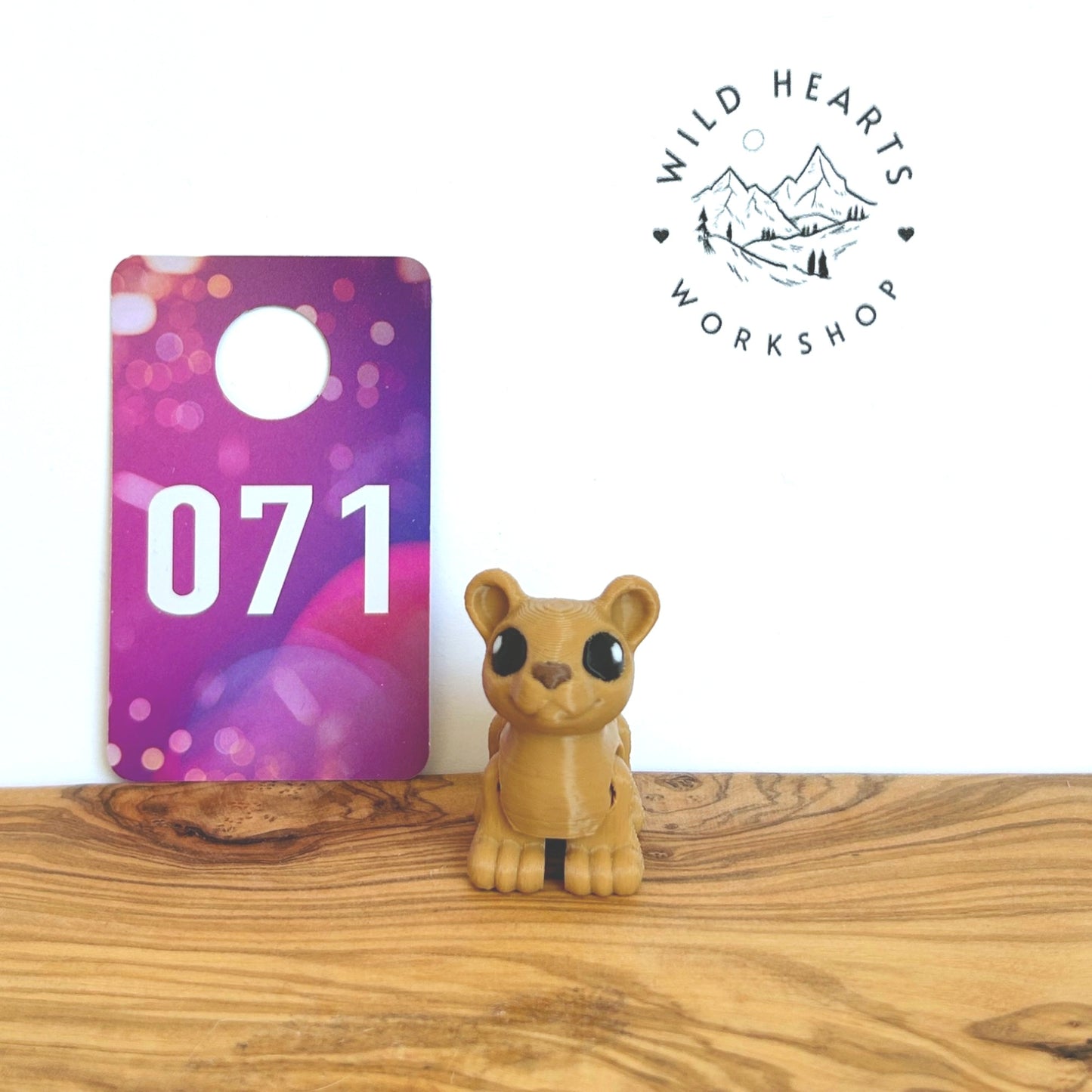 Fidget Critters - 3D Printed Articulated Animal Toy for Kids