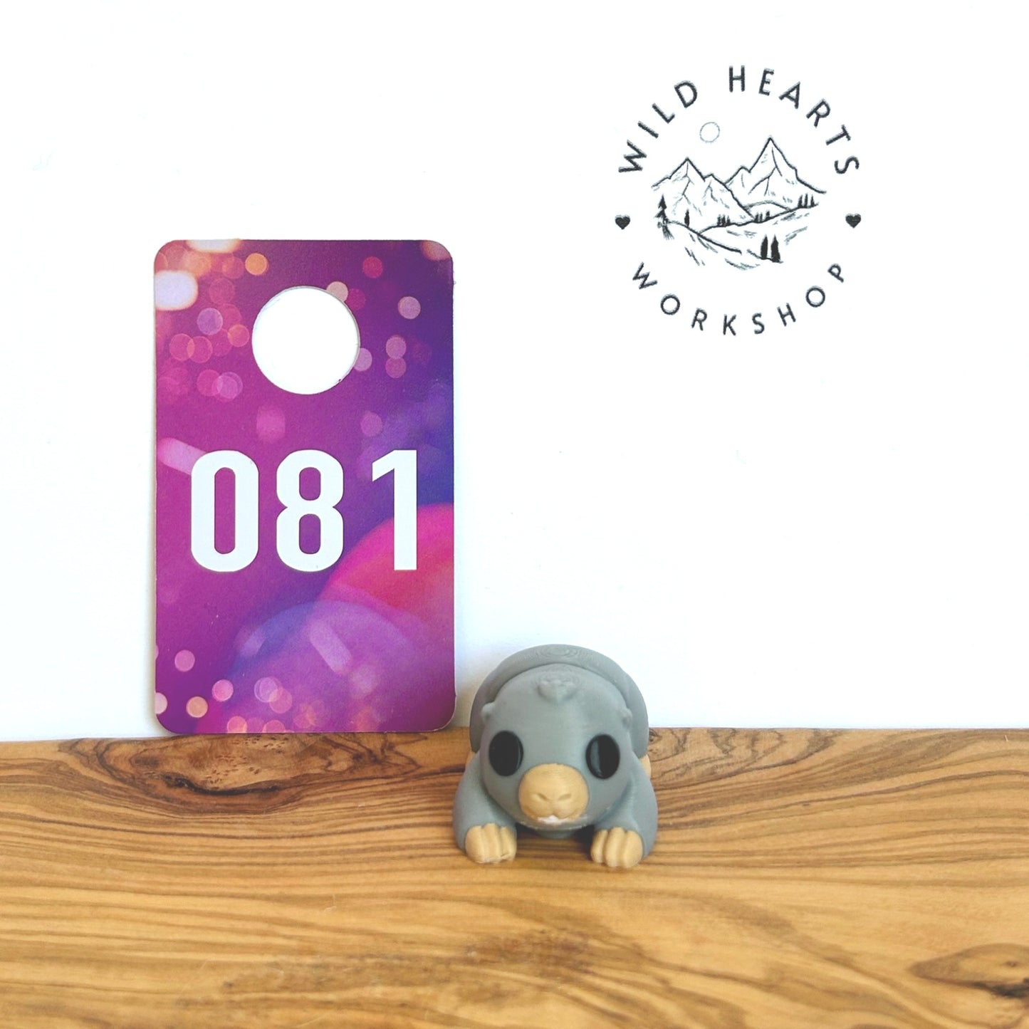 Fidget Critters - 3D Printed Articulated Animal Toy for Kids