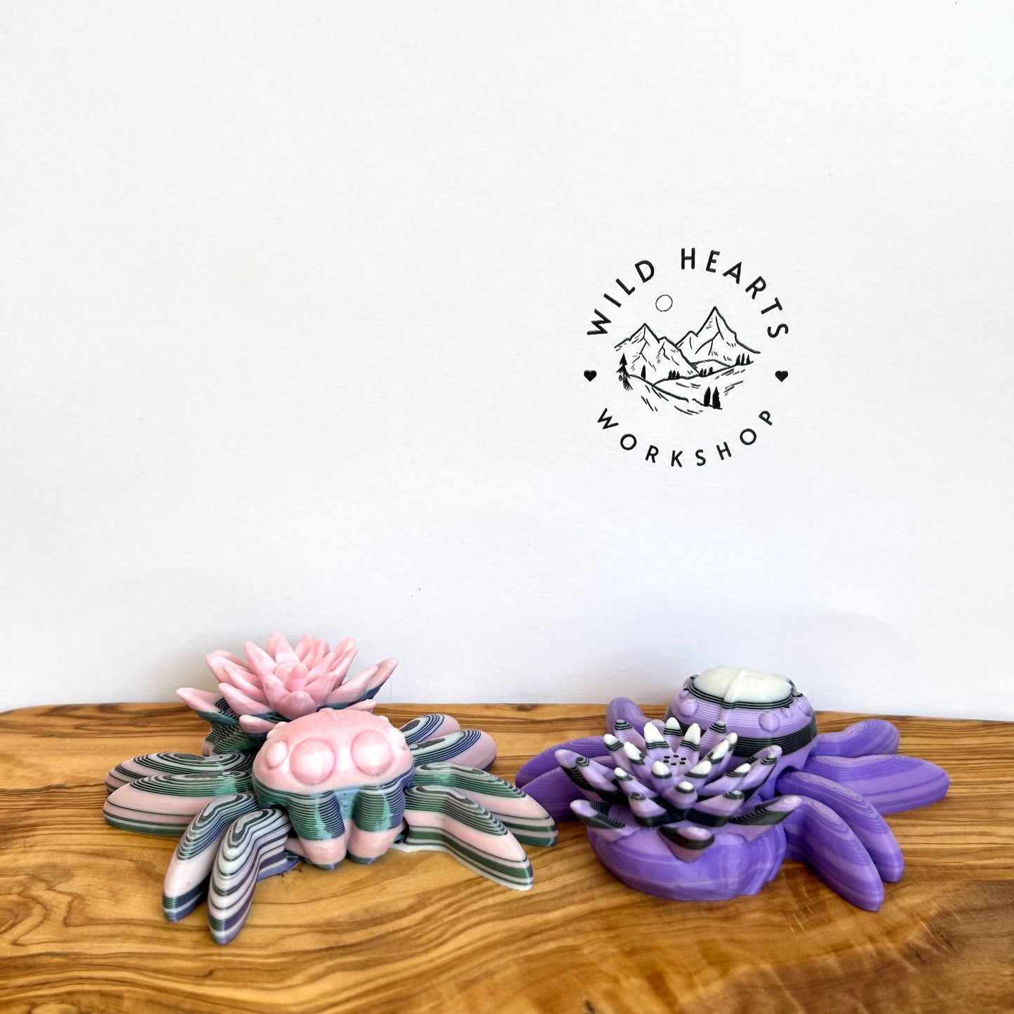 Flushie Spider - Mystery Color and Style