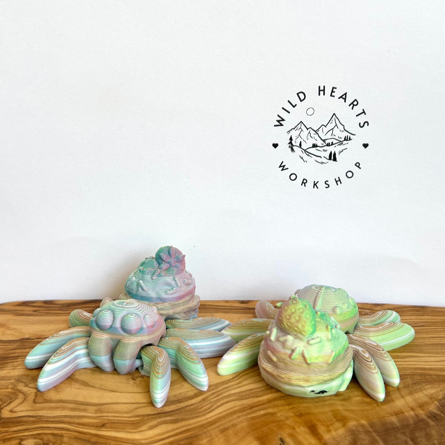 Flushie Spider - Mystery Color and Style