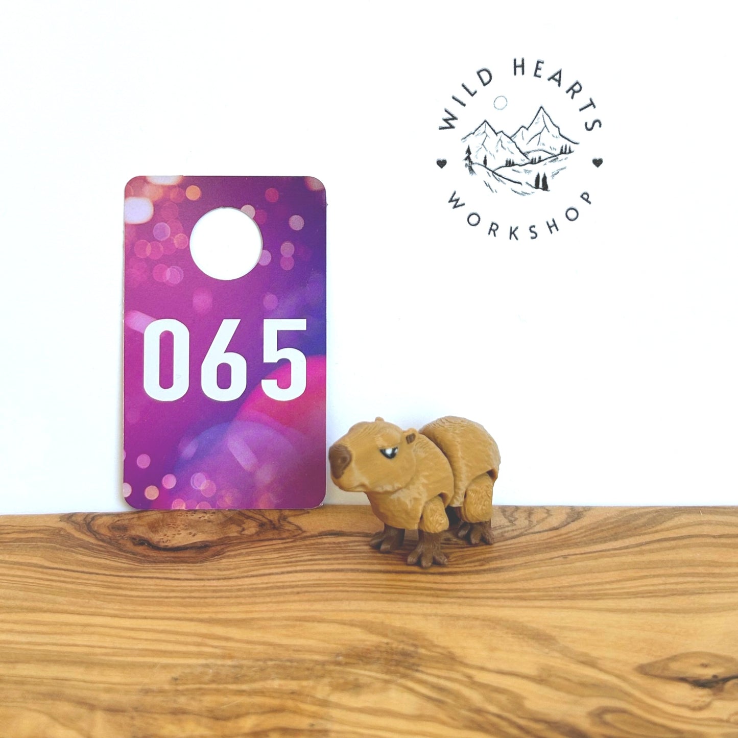 Fidget Critters - 3D Printed Articulated Animal Toy for Kids