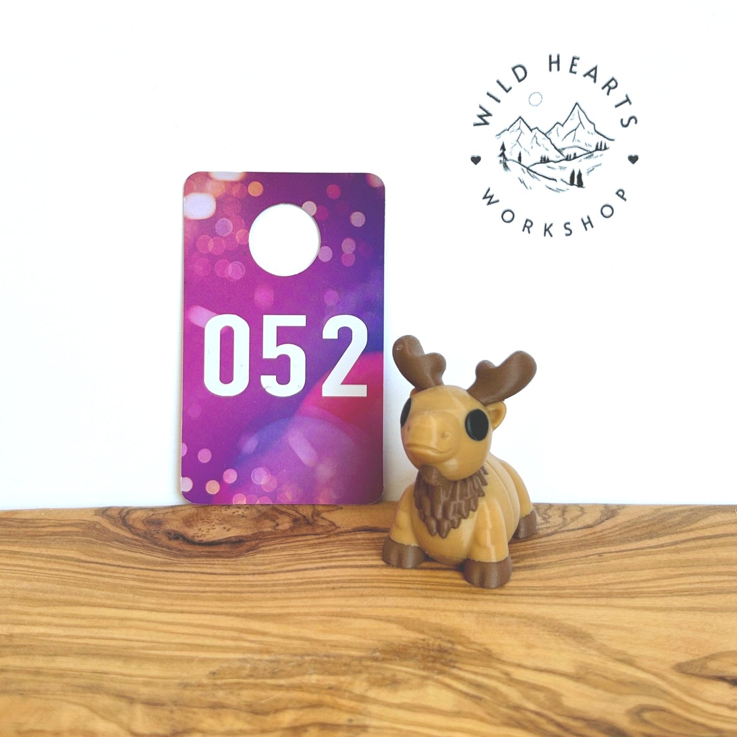 Fidget Critters - 3D Printed Articulated Animal Toy for Kids