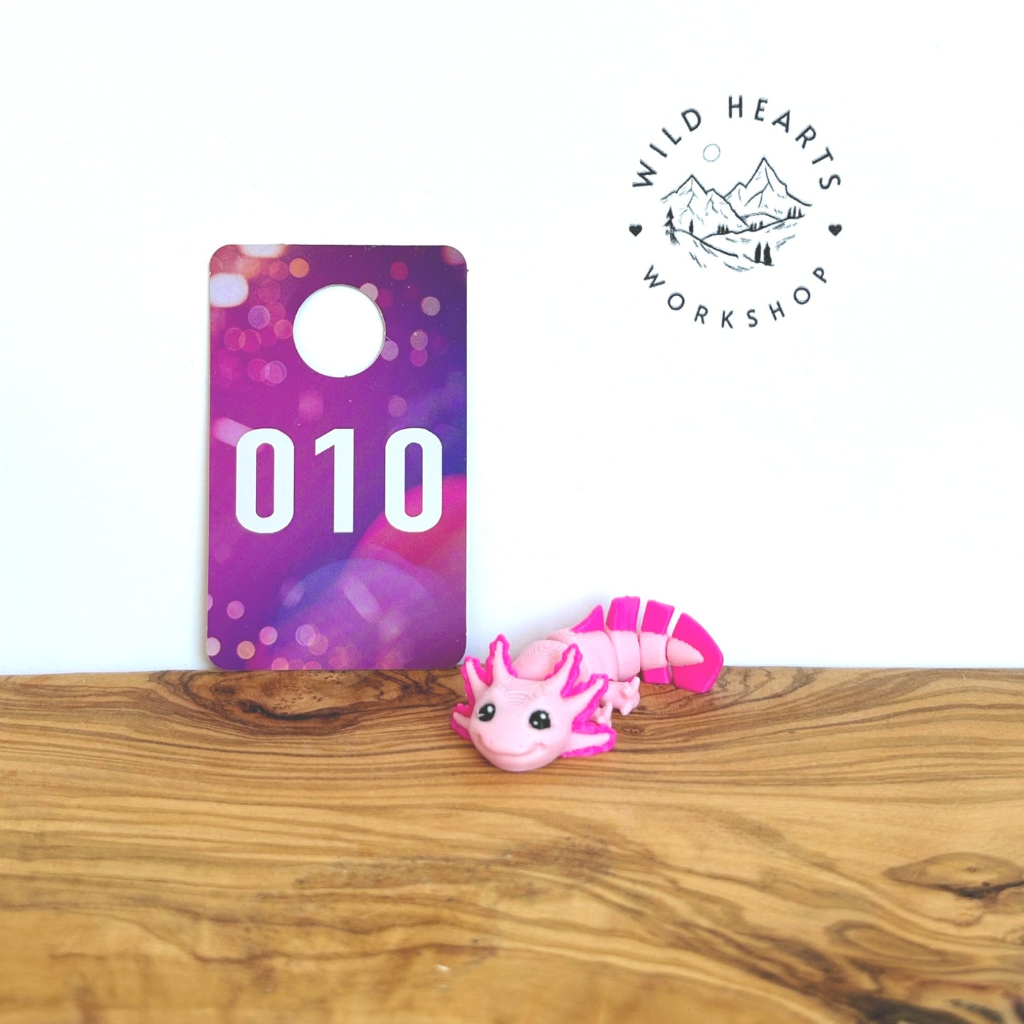Fidget Critters - 3D Printed Articulated Animal Toy for Kids